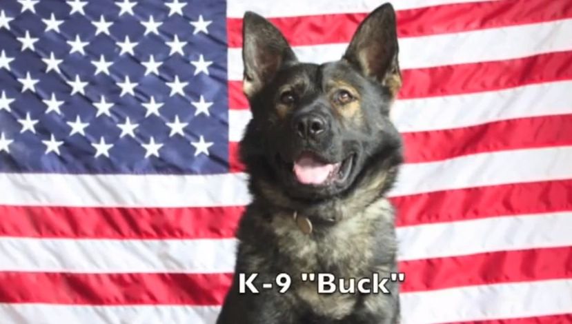"Buck" named in memory of Lance Corporal Gregory T. Buckley Jr. of the U.S. Marine Corp. USMC 3rdBattalion, 8th Marines, 2nd Marine Division, Camp Lejeune North Carolina.